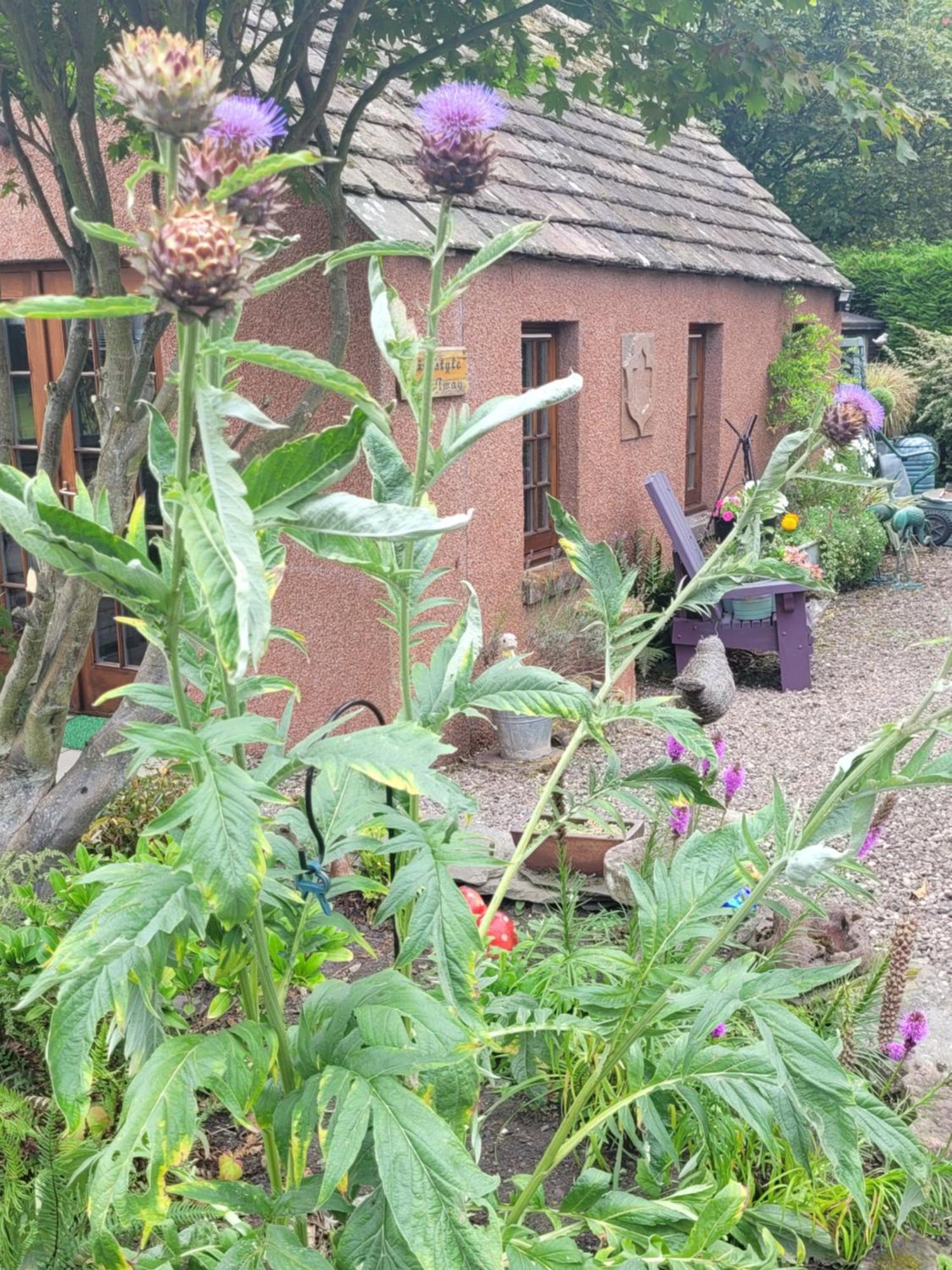 Kirkstyle Hideaway Bed & Breakfast Arbroath Eksteriør bilde